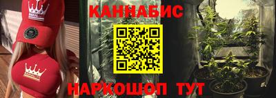 PSILOCYBIN Рыбинск
