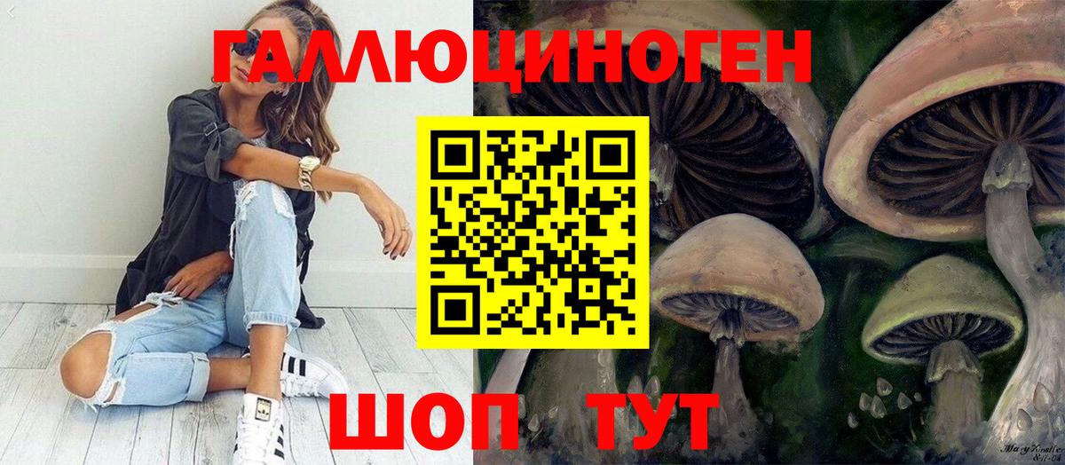 Симферополь  Галлюциногенные грибы MAGIC MUSHROOMS  где продают наркотики  Галлюциногенные грибы Magic Shrooms  Вход с VPN 